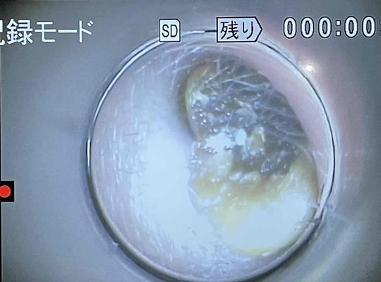 川崎でリラクゼーションをご提供する耳そうじスコープサロン耳癒のブログ